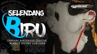 DJ BANTENGAN SLENDANG BIRU