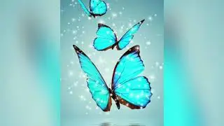 ❤❤❤🥀🥀🌹🌹❤ҳаёт да ту осон❤❤🥀🥀