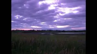 Sound of Silence / Nibiru
