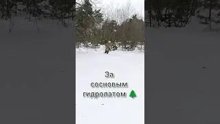Зимние #гидролаты труднодобываемые 😄 #натуральнаякосметика #diy #травница #мыловарение #косметика