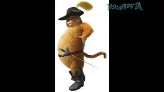 El Fato Gato Speaks!