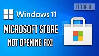 Fix Microsoft Store Not Opening Windows 11