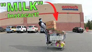 Costco MILKS and More INSTACART ORDERS!