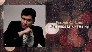 Виталий Камбалин - Жауындардың маусымы(Lyric video)