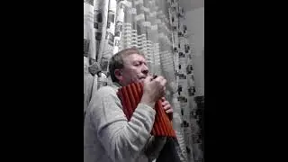кукушка цой