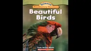 Beautiful Birds Read Aloud