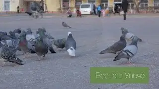 Первые весенние деньки в Унече