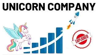 What is a Unicorn Company? | Meaning, Key Terms and Salient Features
