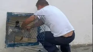 ensopado