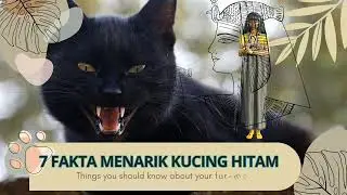 7 FAKTA MENARIK TENTANG KUCING HITAM! (Mitos vs Realita!)