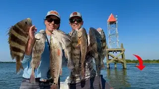Why These Fish and Many More Were in This Spot!