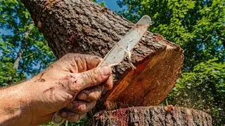 I Cut Down A Tree Only Using Plastic Knives