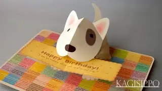 pop-up card__Bull Terrier