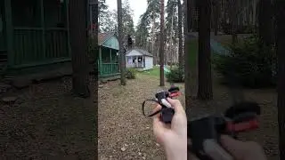 Some kind of flying thing