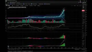 Bitcoin Flash Crash and Dogecoin