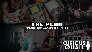 Curious Quail - The Plan