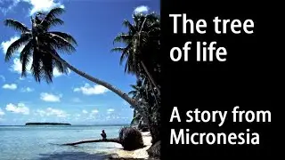 Tree of life - A story from Micronesia