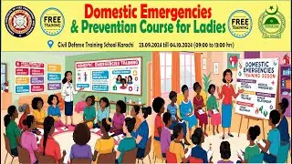 Domestic Emergency & Prevention Course