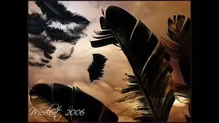 Reflexiones de vida - El saco de plumas -Mariano Osorio