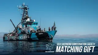 Sea Shepherd Conservation Society Matching Gift Challenge