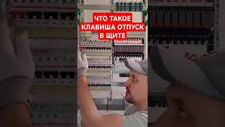 Что такое клавиша ОТПУСК⛱️ в щите 
