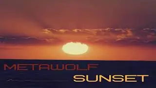 Metawolf - Sunset