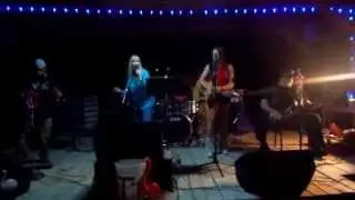 The Crashing Pink Flamingos