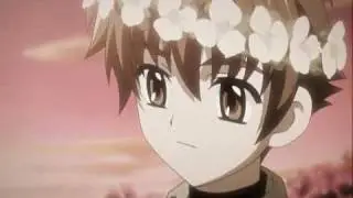 Песня Сакуры из Tsubasa Chronicle (You are my love)
