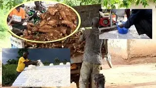 Cassava Processing in Dokolo District, a Pivotal Strategy in Alleviating Poverty & Food Security.
