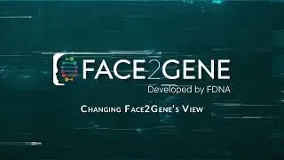 How to change the view in Face2Gene