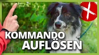 Kommando RICHTIG auflösen (Fehler und Risiken)