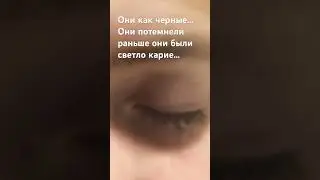 Что с ними… 