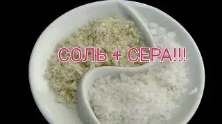 Расклев у птицы. Соль + Сера.
