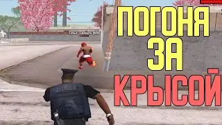 ПОДСТАВЫ, ПОГОНЯ, НОНРП НА ARIZONA RP YUMA №284