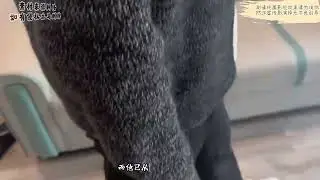 美女被绑架