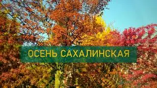 Осень
