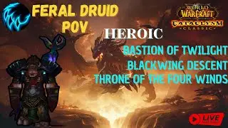 (FAERLINA) Feral Tank 13/13? HEROIC 25man BwD, BoT, TotFW - World of Warcraft Cataclysm Classic