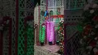 Thakur Shri Banke Bihari ji Ka Phool Bangla 22/06/2023 VARINDAVAN