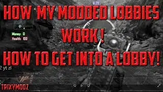 How My BO2 Modded Lobbies Work ! - Modded Lobbies or Everyone