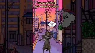 котики на разборке 