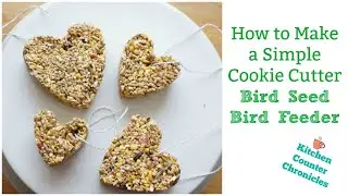 How to Make a Bird Seed Ornament