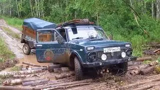 Поездка в тайгу и как мы засадили Ниву