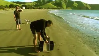 Port Jackson 1