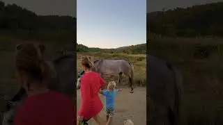 беги САНТА беги!!!