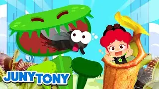 Plantas Carnívoras | La Venus Atrapamoscas | Canciones Infantiles | JunyTony en español
