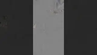 МУП