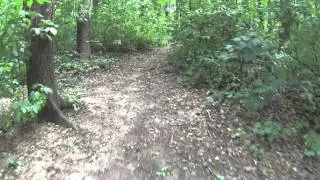 Sony Action Cam HDR-AS200VR 1080p 60 raw sample MP4 VIDEO
