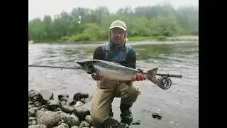 Лосось, нахлыст. Кольский полуостров, июль 2022. Salmon fly fishing on Kola Peninsula 07/2022.