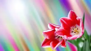 Вот это песня!!! Новинка 2017 Шикарная Песня для души!