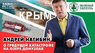 Зеленый патруль о варварских экологических нарушениях - Крым - озеро Донузлав